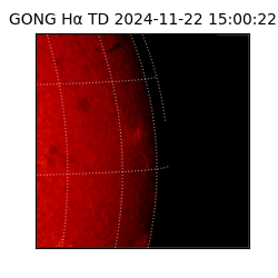gong - 2024-11-22T15:00:22