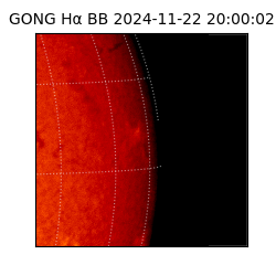 gong - 2024-11-22T20:00:02