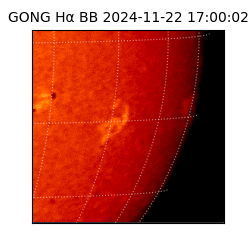 gong - 2024-11-22T17:00:02