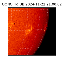 gong - 2024-11-22T21:00:02