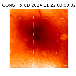 gong - 2024-11-22T03:00:02