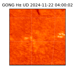 gong - 2024-11-22T04:00:02