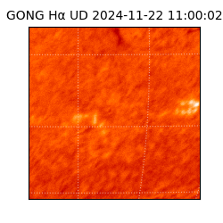 gong - 2024-11-22T11:00:02