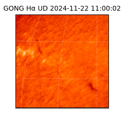 gong - 2024-11-22T11:00:02
