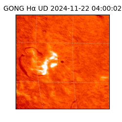 gong - 2024-11-22T04:00:02