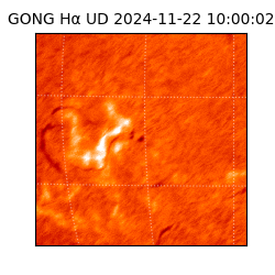 gong - 2024-11-22T10:00:02