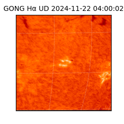 gong - 2024-11-22T04:00:02
