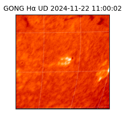 gong - 2024-11-22T11:00:02