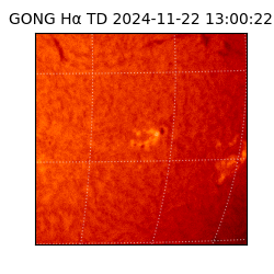 gong - 2024-11-22T13:00:22