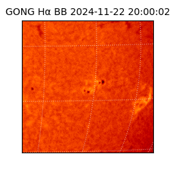 gong - 2024-11-22T20:00:02
