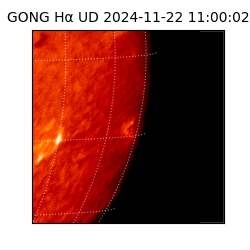 gong - 2024-11-22T11:00:02