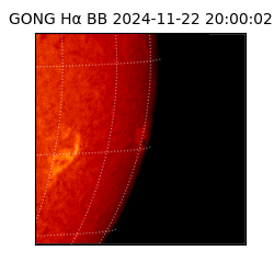 gong - 2024-11-22T20:00:02