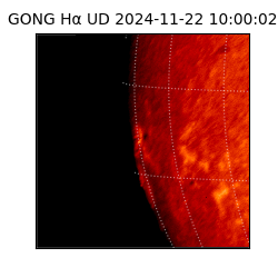 gong - 2024-11-22T10:00:02