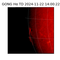 gong - 2024-11-22T14:00:22