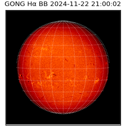 gong - 2024-11-22T21:00:02