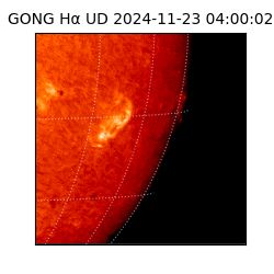 gong - 2024-11-23T04:00:02