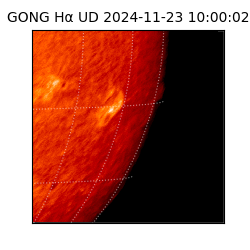 gong - 2024-11-23T10:00:02