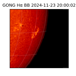 gong - 2024-11-23T20:00:02