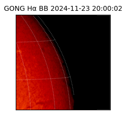 gong - 2024-11-23T20:00:02