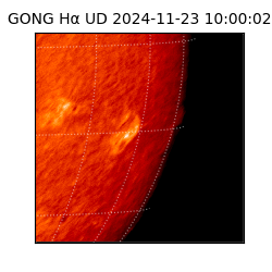 gong - 2024-11-23T10:00:02