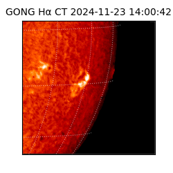 gong - 2024-11-23T14:00:42