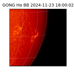gong - 2024-11-23T18:00:02