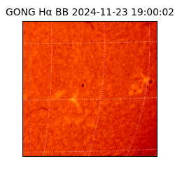gong - 2024-11-23T19:00:02