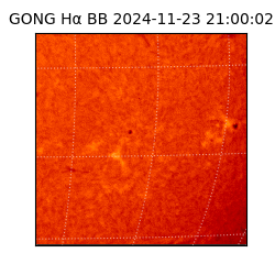 gong - 2024-11-23T21:00:02