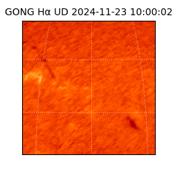 gong - 2024-11-23T10:00:02