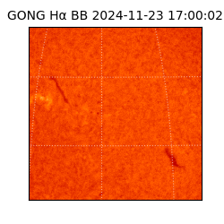 gong - 2024-11-23T17:00:02