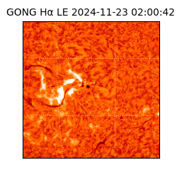 gong - 2024-11-23T02:00:42