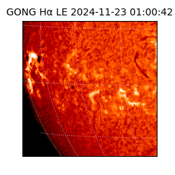 gong - 2024-11-23T01:00:42