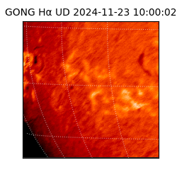 gong - 2024-11-23T10:00:02