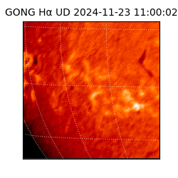 gong - 2024-11-23T11:00:02