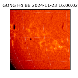 gong - 2024-11-23T16:00:02