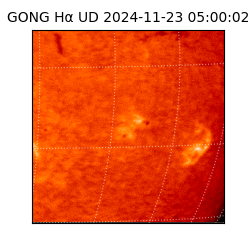 gong - 2024-11-23T05:00:02
