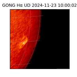 gong - 2024-11-23T10:00:02