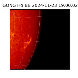 gong - 2024-11-23T19:00:02