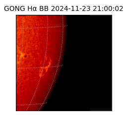 gong - 2024-11-23T21:00:02