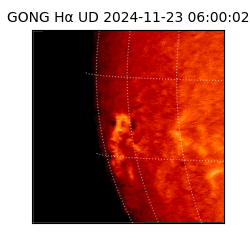 gong - 2024-11-23T06:00:02