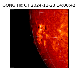 gong - 2024-11-23T14:00:42