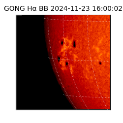 gong - 2024-11-23T16:00:02