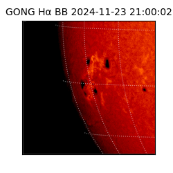 gong - 2024-11-23T21:00:02