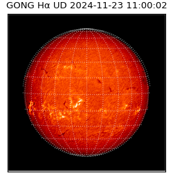 gong - 2024-11-23T11:00:02