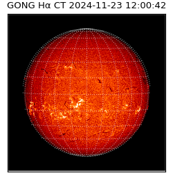 gong - 2024-11-23T12:00:42
