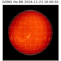 gong - 2024-11-23T16:00:02