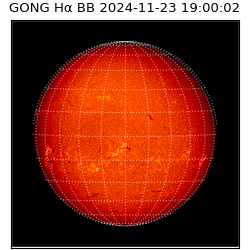 gong - 2024-11-23T19:00:02
