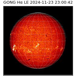 gong - 2024-11-23T23:00:42