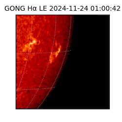 gong - 2024-11-24T01:00:42