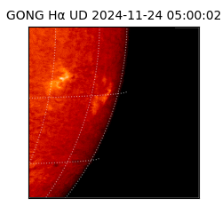 gong - 2024-11-24T05:00:02
